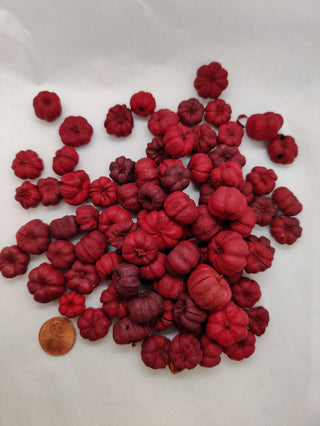 Putka - Dried Botanical