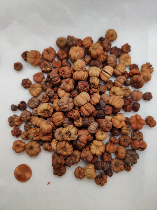 Putka - Dried Botanical