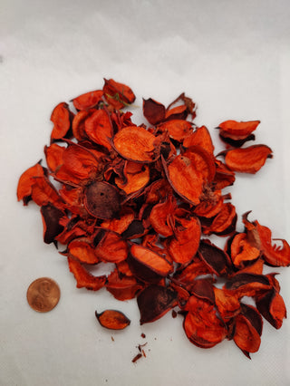 Cotton Petal - Dried Botanical