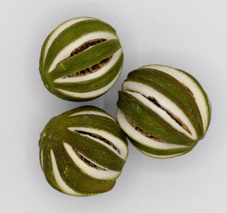 Slit Limes Whole - Dried Botanical